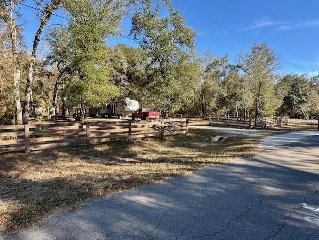 a view of road with large trees
