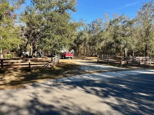 a view of a park with large trees
