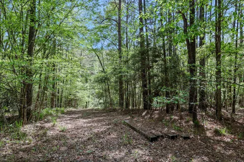 $699,000 | 1290 Spring Ridge Road, Coldspring, TX 77331