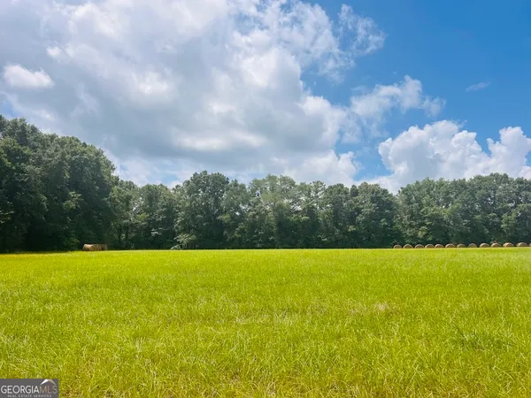 $210,000 | 0 Fouche Road, Buena Vista, GA 31803