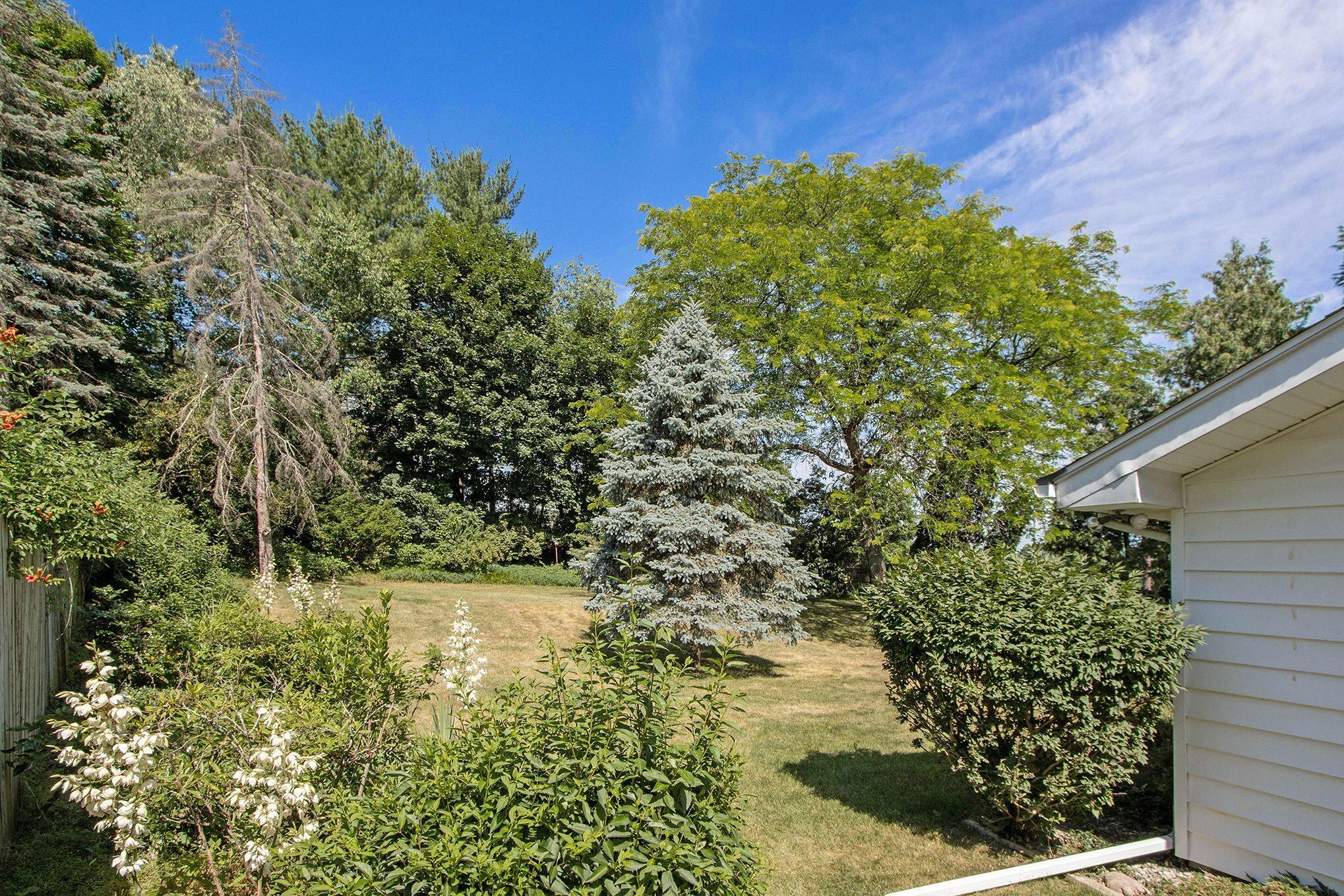2038 Rambling Road Kalamazoo, MI 49008 - Photo 29 of 32 Back yard B