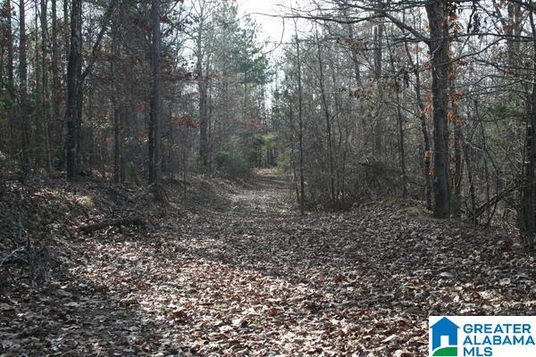 545 Chinnabee Road, Unit 24 ACRES Munford, AL 36268 - Photo 1 of 6
