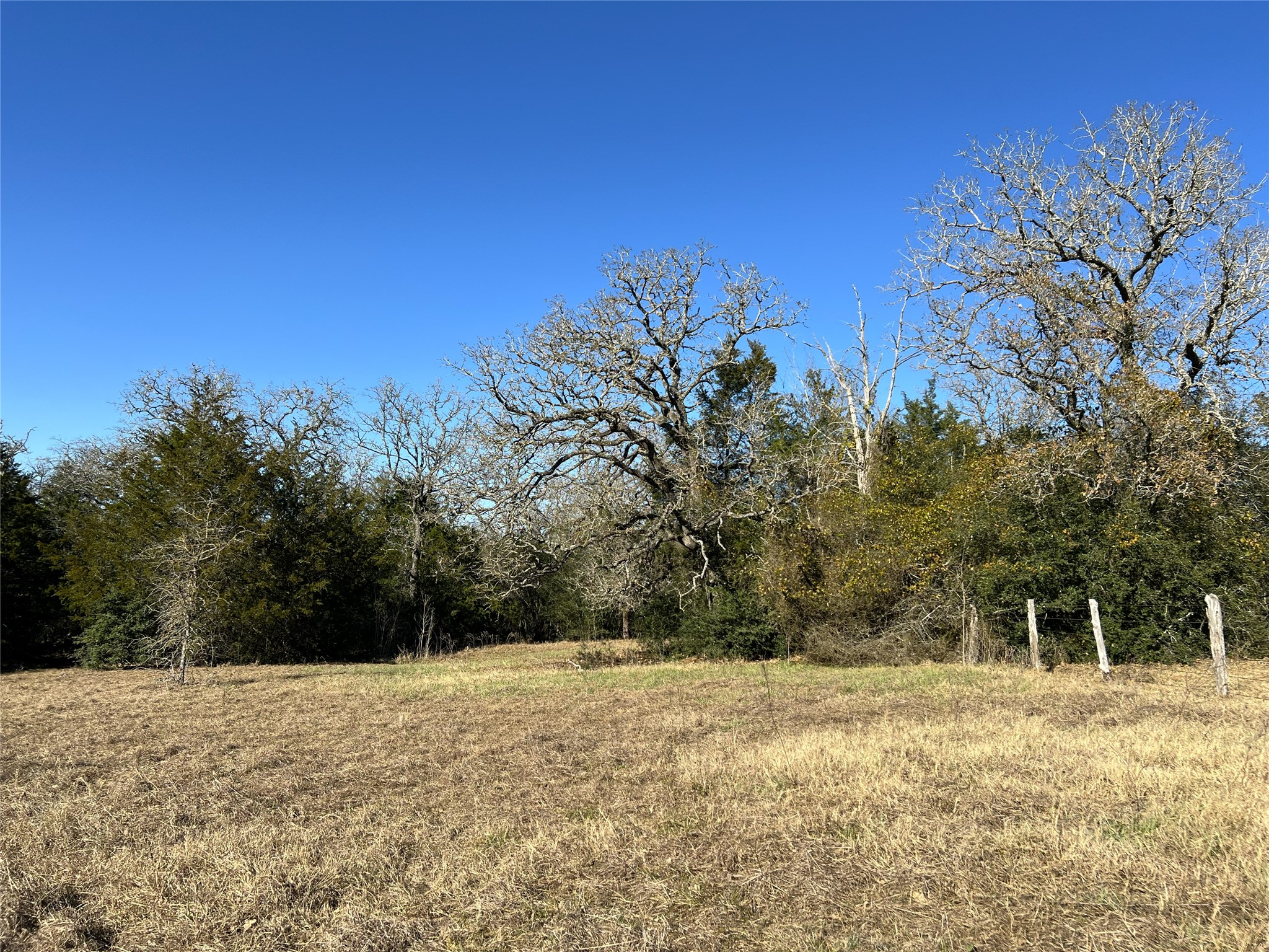 Tbd Rosanky Cattle Company Road Smithville, TX 78957 - Photo 31 of 40 a view of a yard with a house