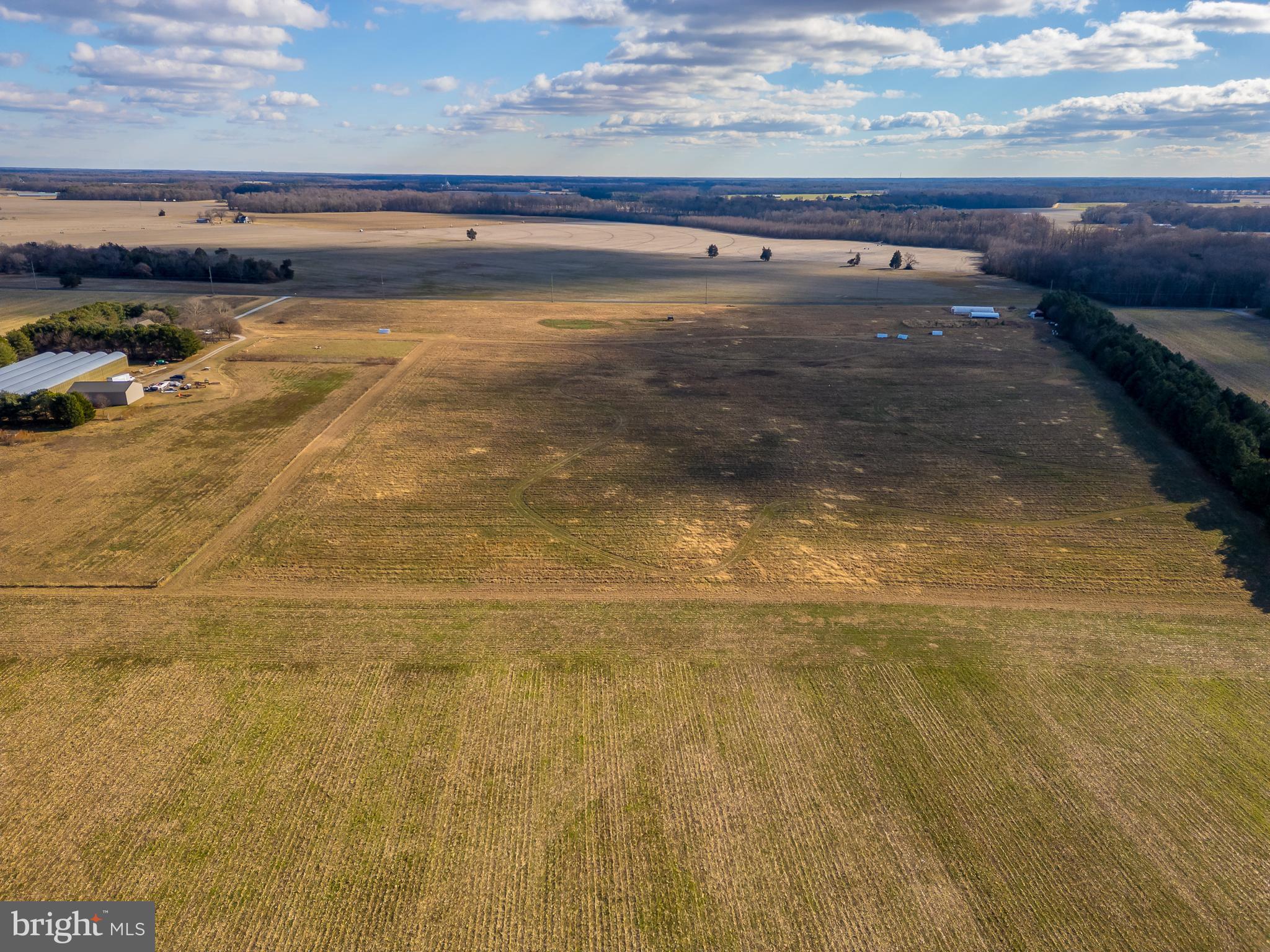 7904 Clark Road Denton, MD 21629 - Photo 48 of 71