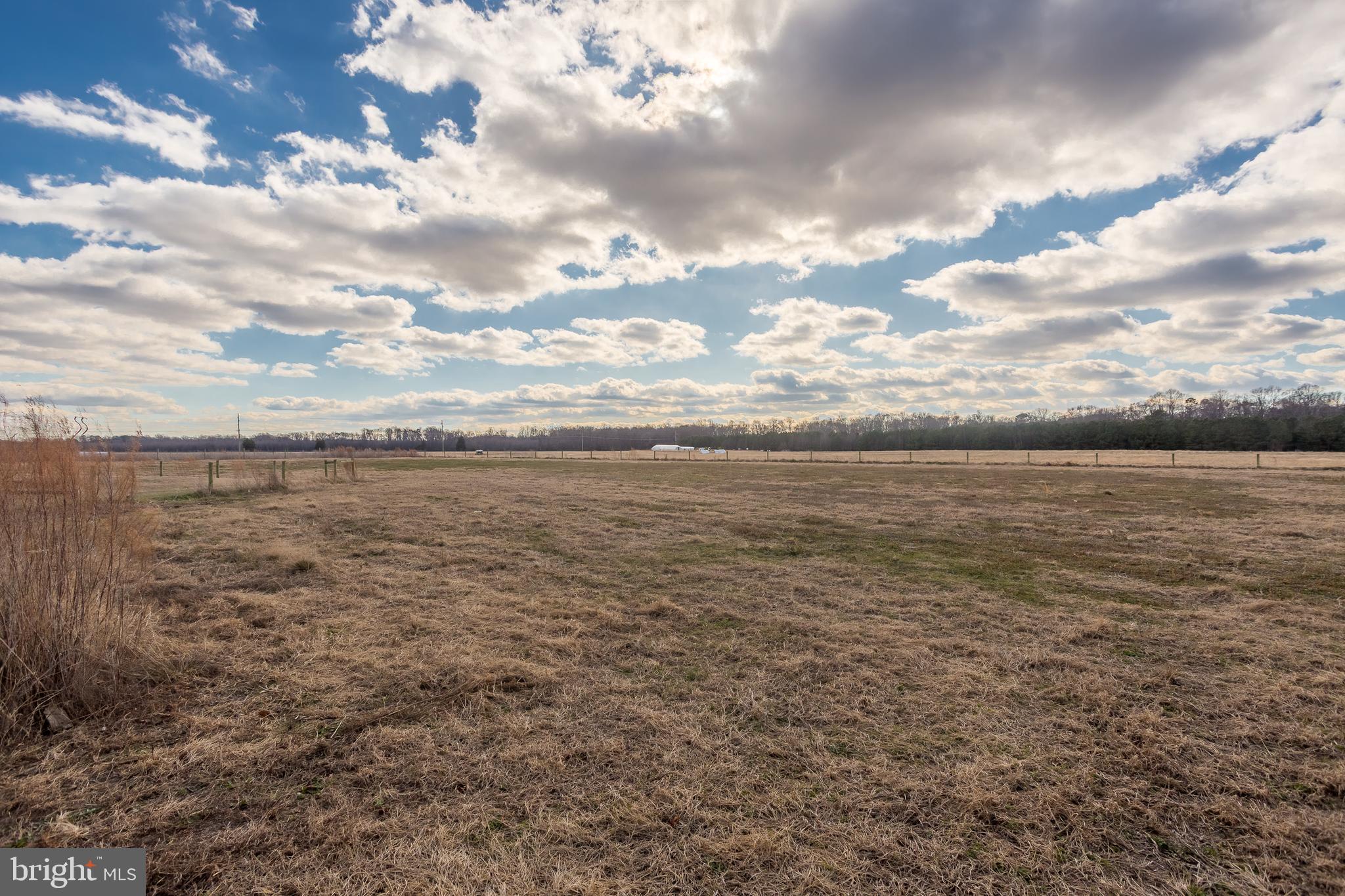 7904 Clark Road Denton, MD 21629 - Photo 50 of 71