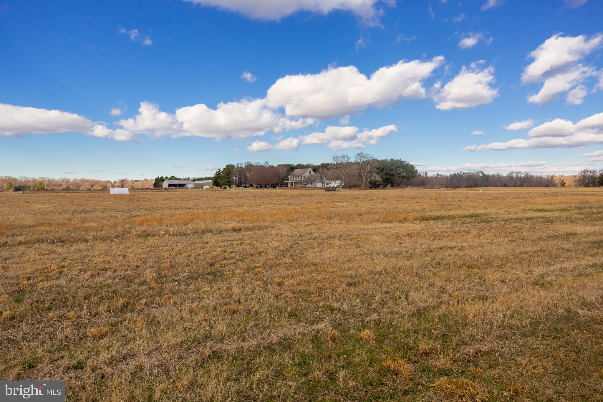 7904 Clark Road Denton, MD 21629 - Photo 7 of 71