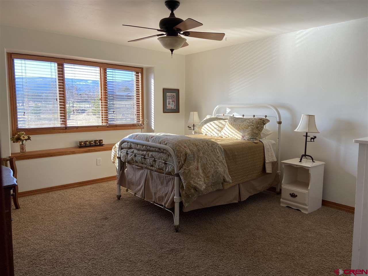 18181 Hanson Road Cedaredge, CO 81413 - Photo 16 of 23 Another large bedroom with a large walk-in closet PLUS amazing views of the Grand Mesa