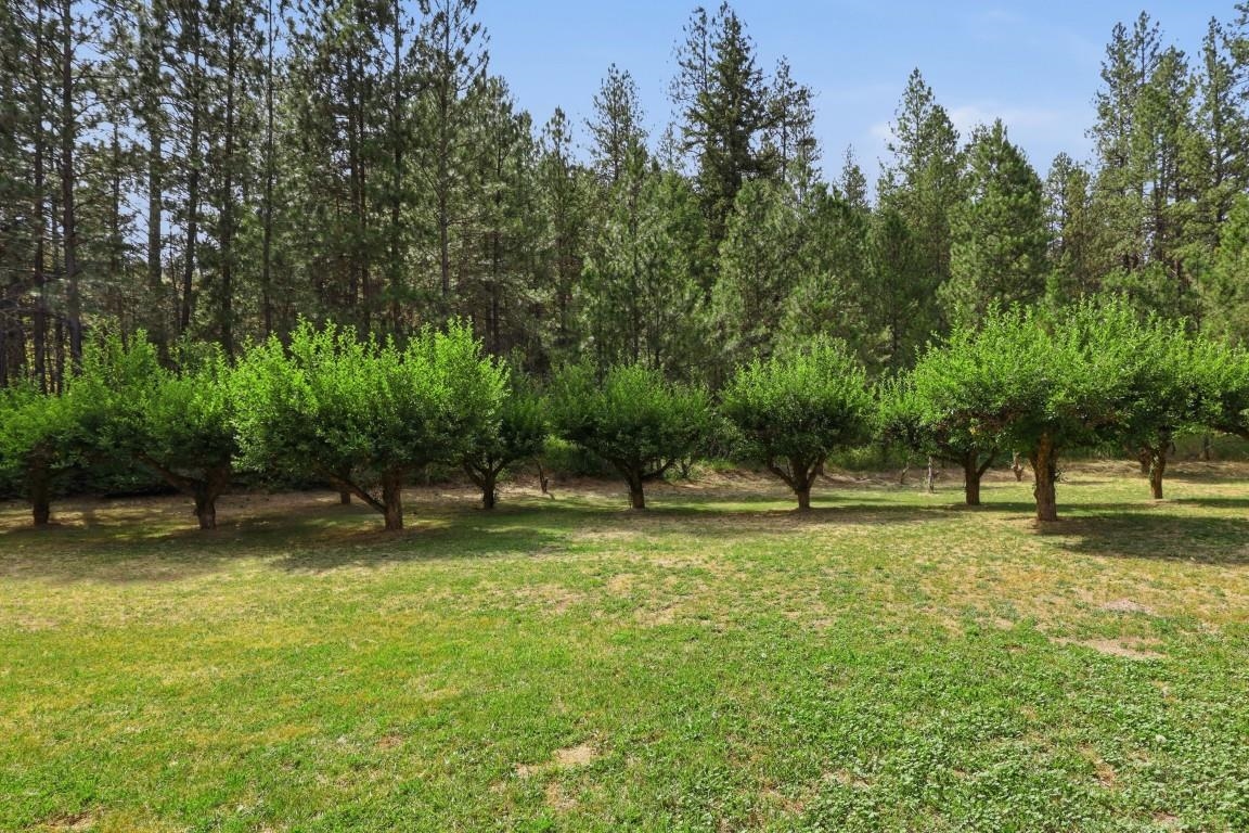 14424 Cheney Spokane Road Cheney, WA 99004 - Photo 36 of 50