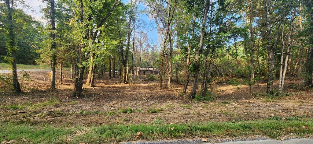 252 Beatrice Court, Unit 69 Ranger, GA 30734 - Photo 1 of 11 Main View