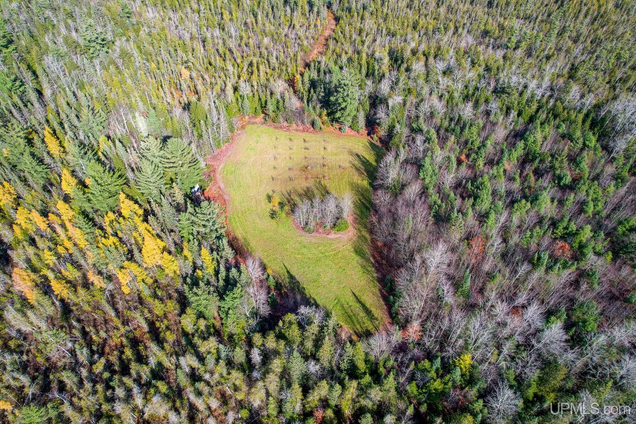240-acres Long Lake Road Wetmore, MI 49895 - Photo 31 of 39