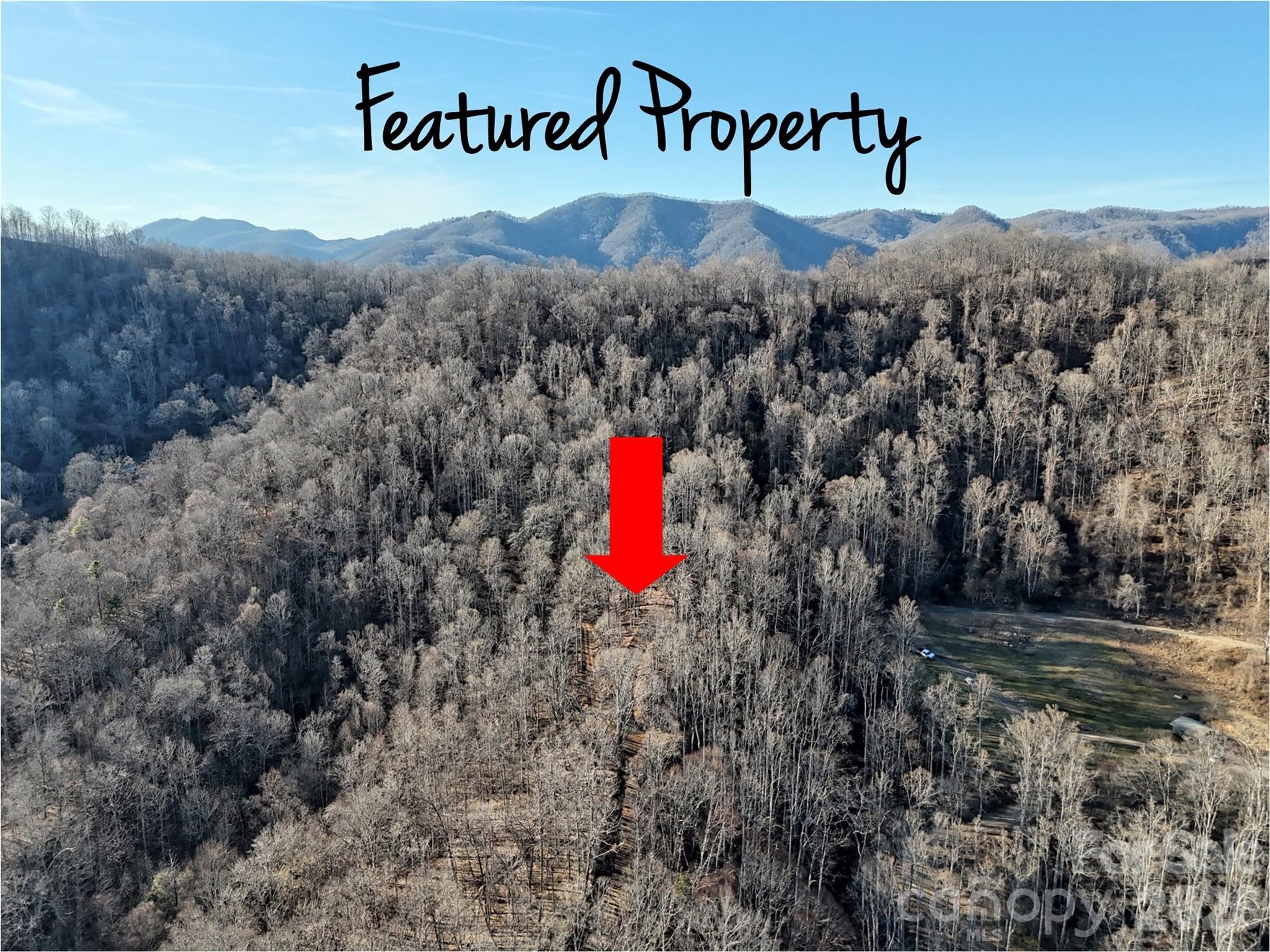 672 Porters Ridge Canton, NC 28716 - Photo 4 of 18