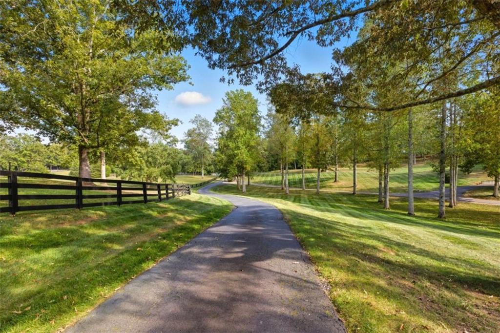 1091 Echota Road Clarkesville, GA 30523 - Photo 85 of 89 a view of a park with large trees