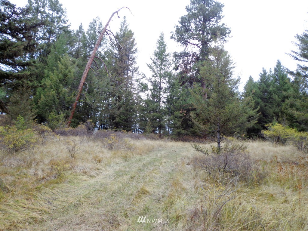 32 Lambert Mt Road Republic, WA 99166 - Photo 7 of 13 Gallery Image 7