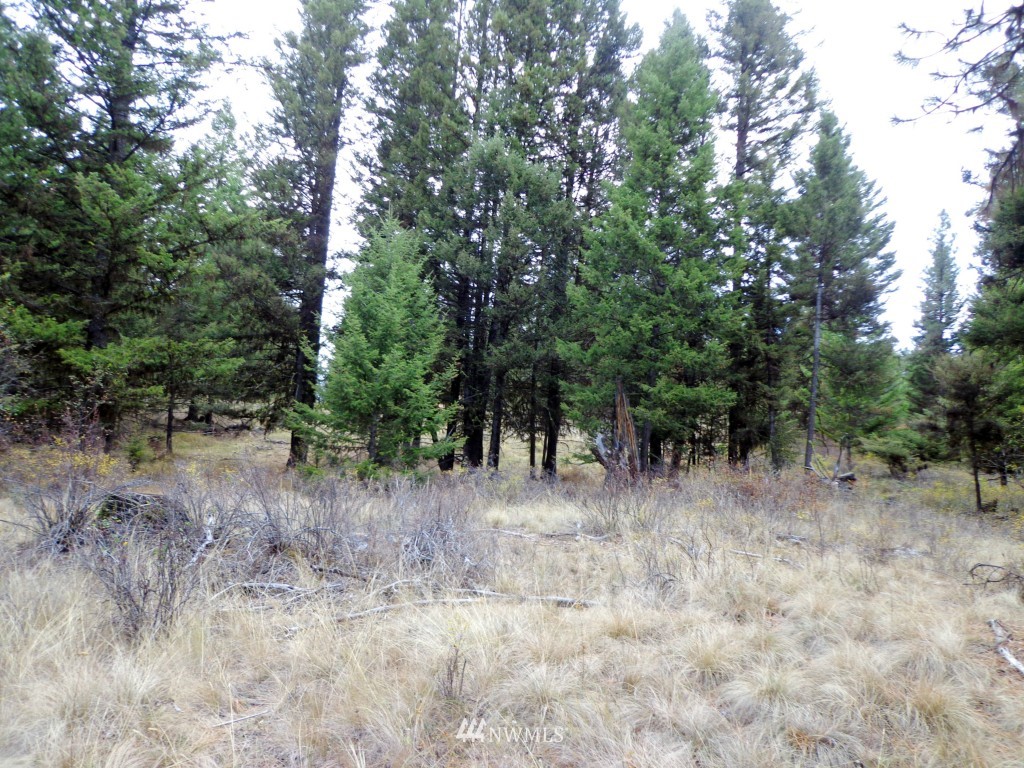 32 Lambert Mt Road Republic, WA 99166 - Photo 8 of 13 Gallery Image 8
