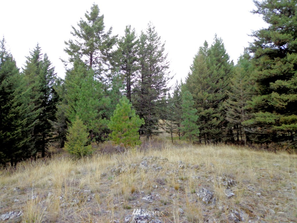 32 Lambert Mt Road Republic, WA 99166 - Photo 10 of 13 Gallery Image 10