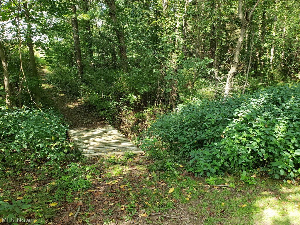 13748 Doylestown Road Rittman, OH 44270 - Photo 26 of 33 bridge & pathway over creek