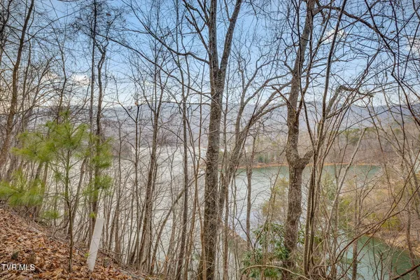 $69,900 | Tbd Bluestone Drive, Unit 20, Butler, TN 37640