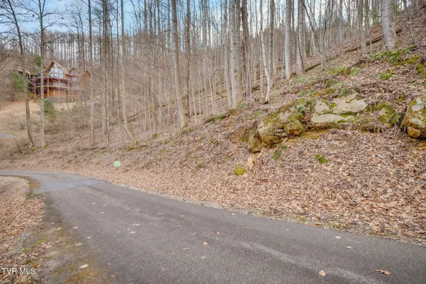$69,900 | Tbd Bluestone Drive, Unit 20, Butler, TN 37640