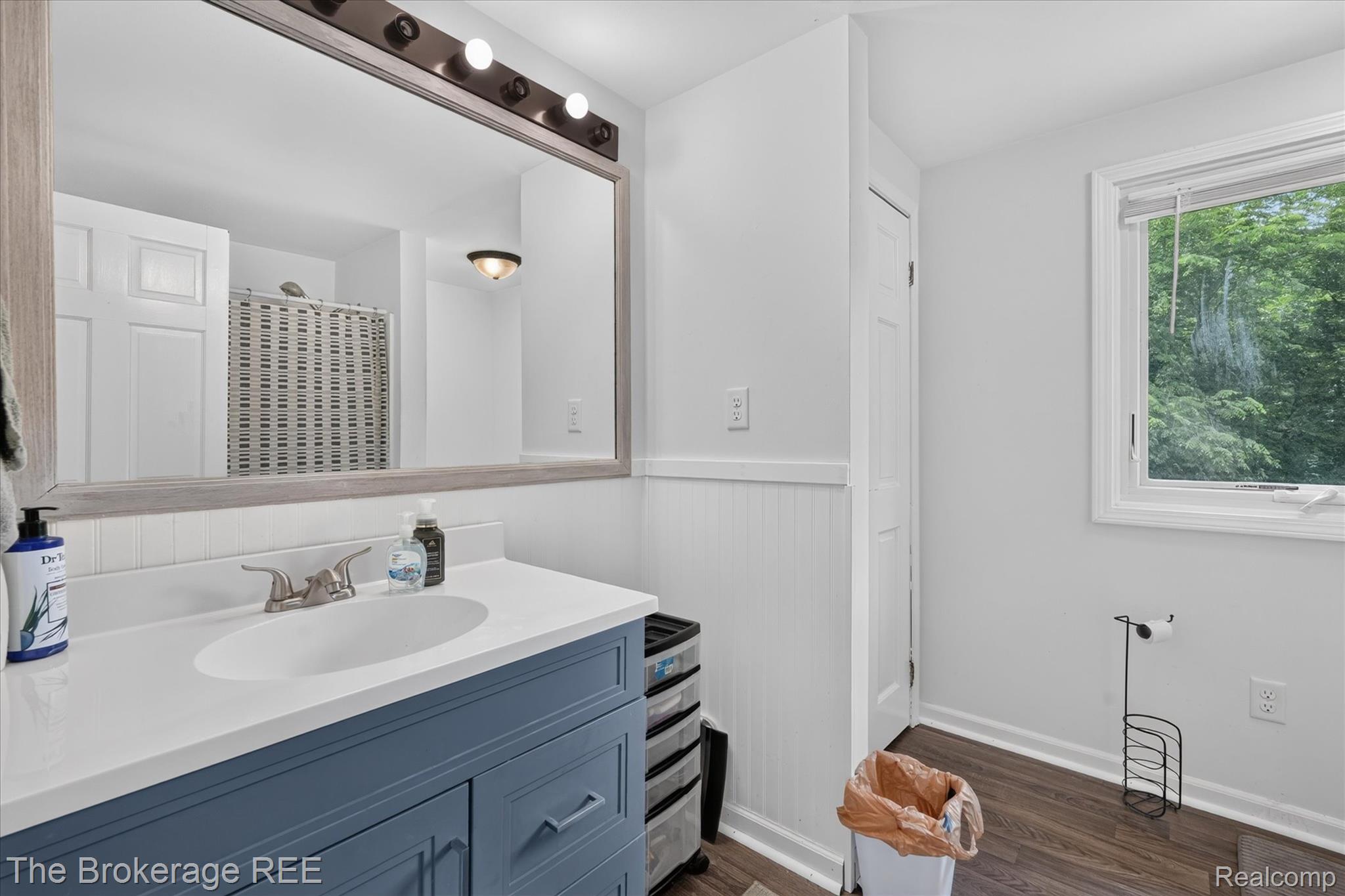 13269 North Genesee Road Clio, MI 48420 - Photo 36 of 67 Bathroom featuring a blue vanity with a white countertop and integrated sink, a large framed mirror, and wood-finish flooring