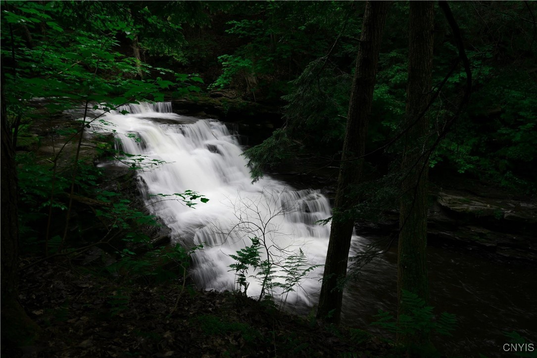 0 Coal Hill Road Taberg, NY 13471 - Photo 11 of 38