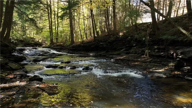 $1,900,000 | 0 Coal Hill Road, Taberg, NY 13471