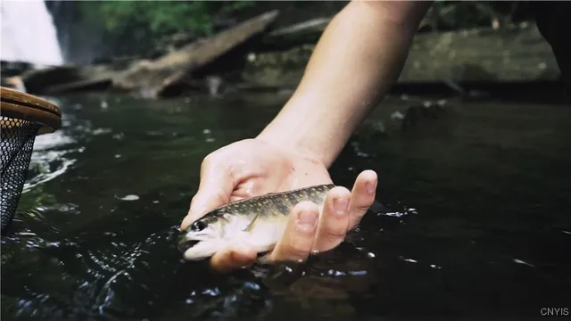 $1,900,000 | 0 Coal Hill Road, Taberg, NY 13471