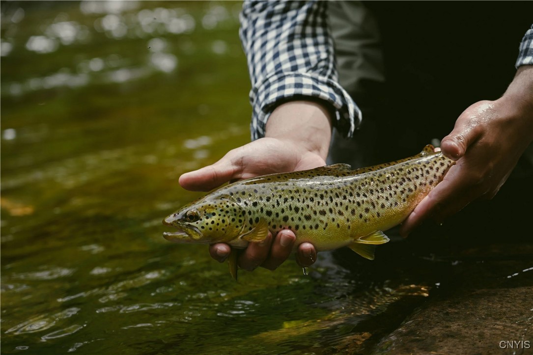 0 Coal Hill Road Taberg, NY 13471 - Photo 22 of 38