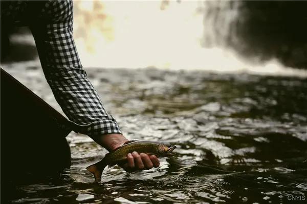 $1,900,000 | 0 Coal Hill Road, Taberg, NY 13471