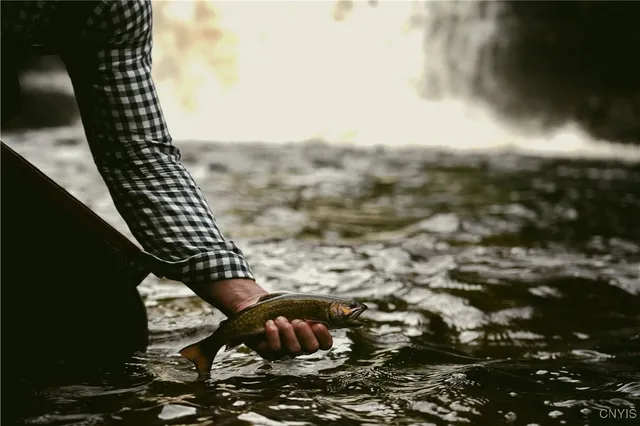 $1,900,000 | 0 Coal Hill Road, Taberg, NY 13471