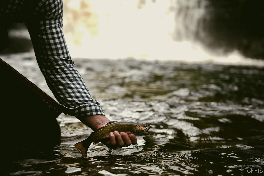 0 Coal Hill Road Taberg, NY 13471 - Photo 23 of 38