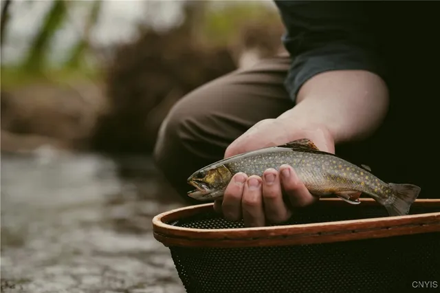 $1,900,000 | 0 Coal Hill Road, Taberg, NY 13471