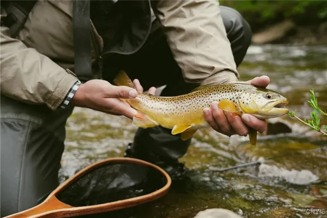 $1,900,000 | 0 Coal Hill Road, Taberg, NY 13471