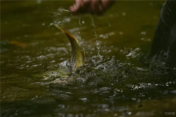 $1,900,000 | 0 Coal Hill Road, Taberg, NY 13471