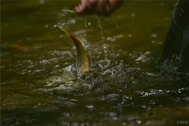 $1,900,000 | 0 Coal Hill Road, Taberg, NY 13471