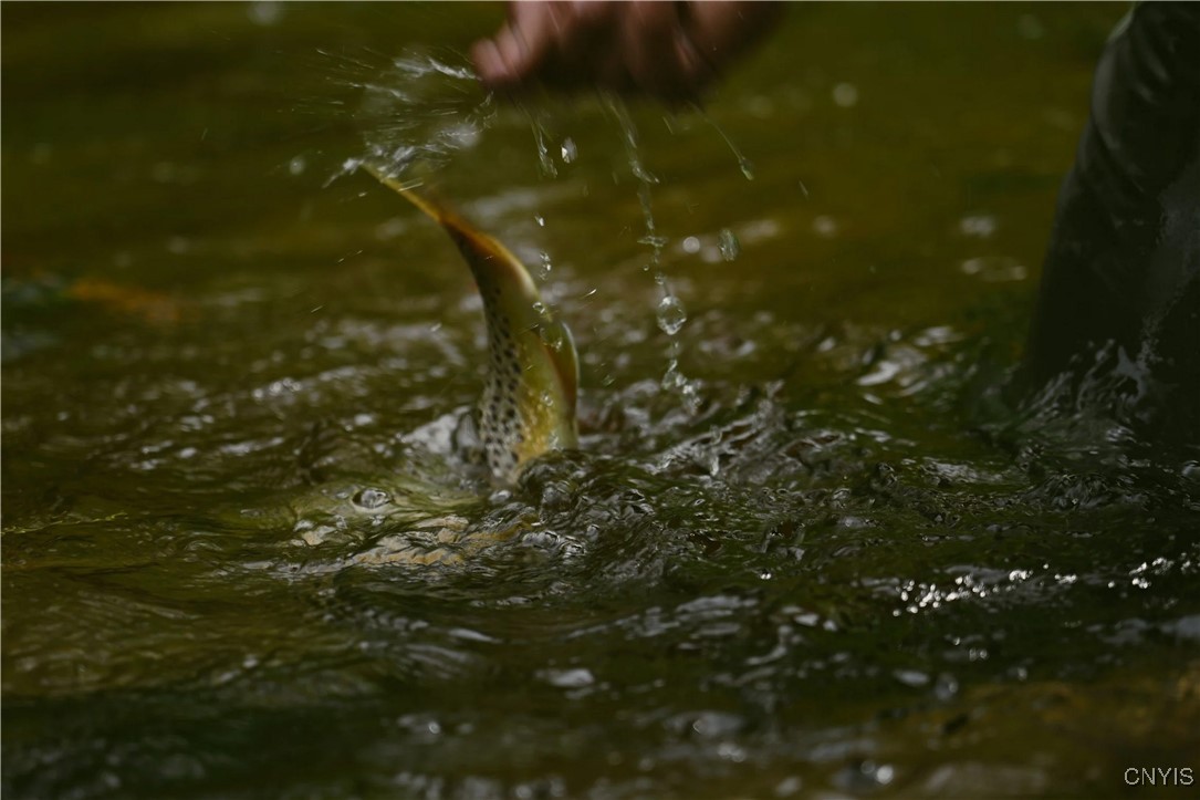 0 Coal Hill Road Taberg, NY 13471 - Photo 26 of 38