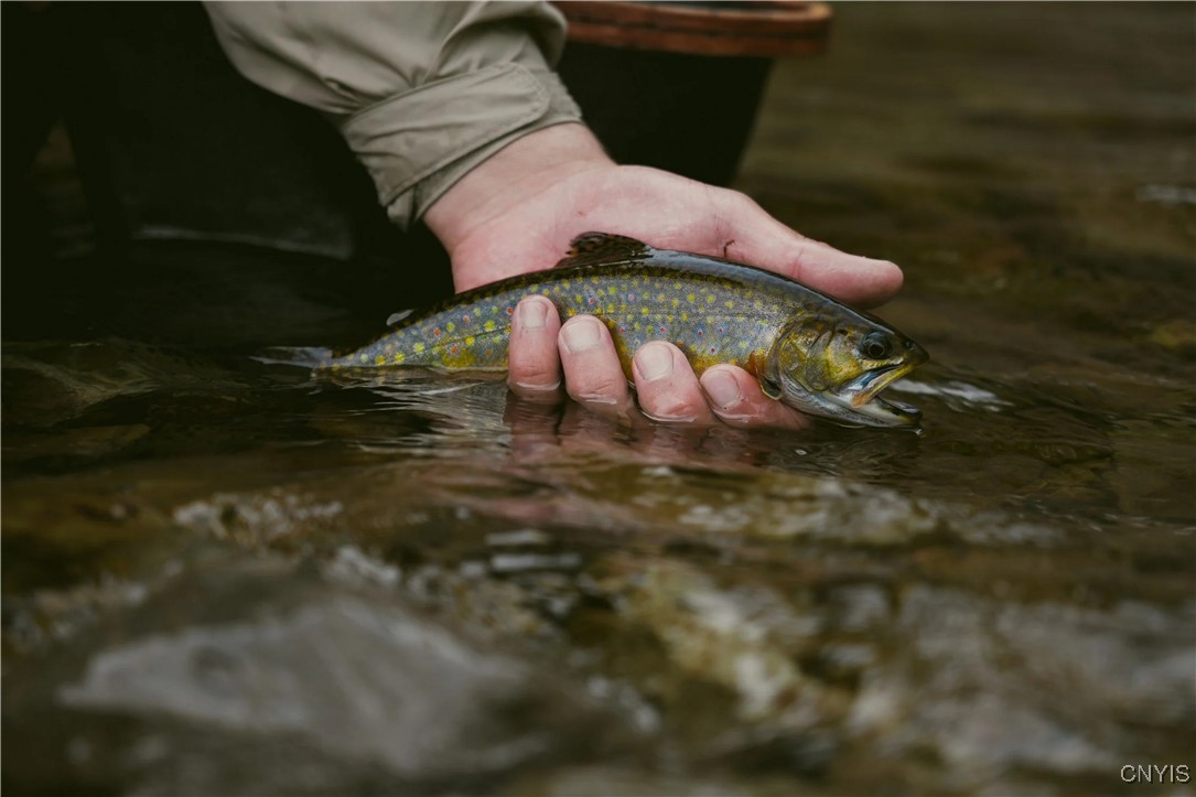 0 Coal Hill Road Taberg, NY 13471 - Photo 27 of 38