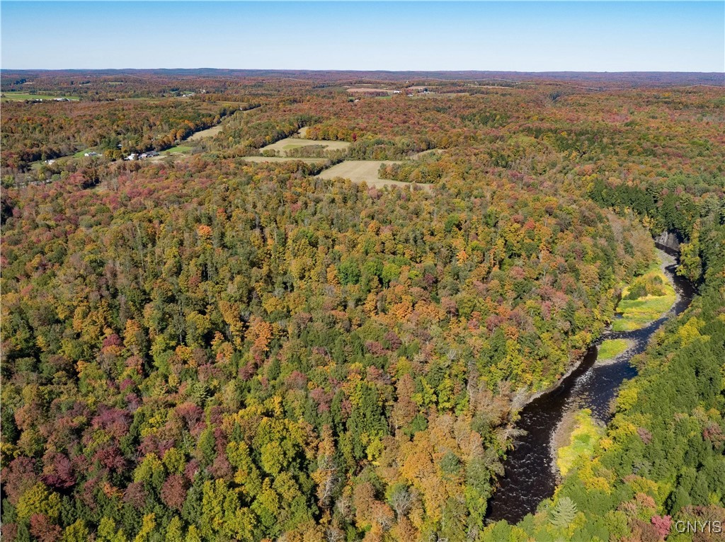 0 Coal Hill Road Taberg, NY 13471 - Photo 34 of 38