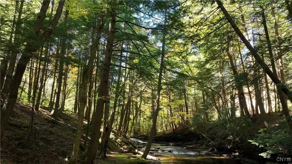 $1,900,000 | 0 Coal Hill Road, Taberg, NY 13471