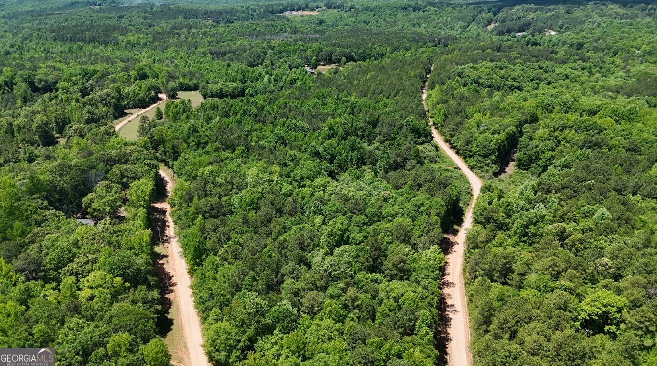 0 Creek Road, Unit LOT 2 Ashland, AL 36251 - Photo 4 of 20