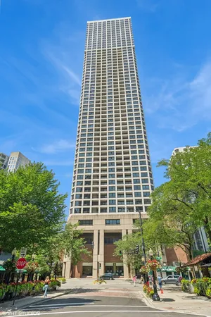 $2,900 | 1030 North State Street, Unit 1G, Chicago, IL 60610