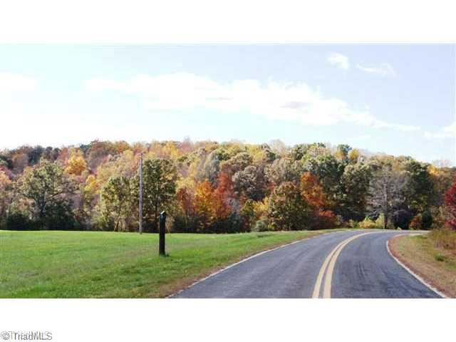 0 Amos Ridge Road Sandy Ridge, NC 27046 - Photo 5 of 6 Land.