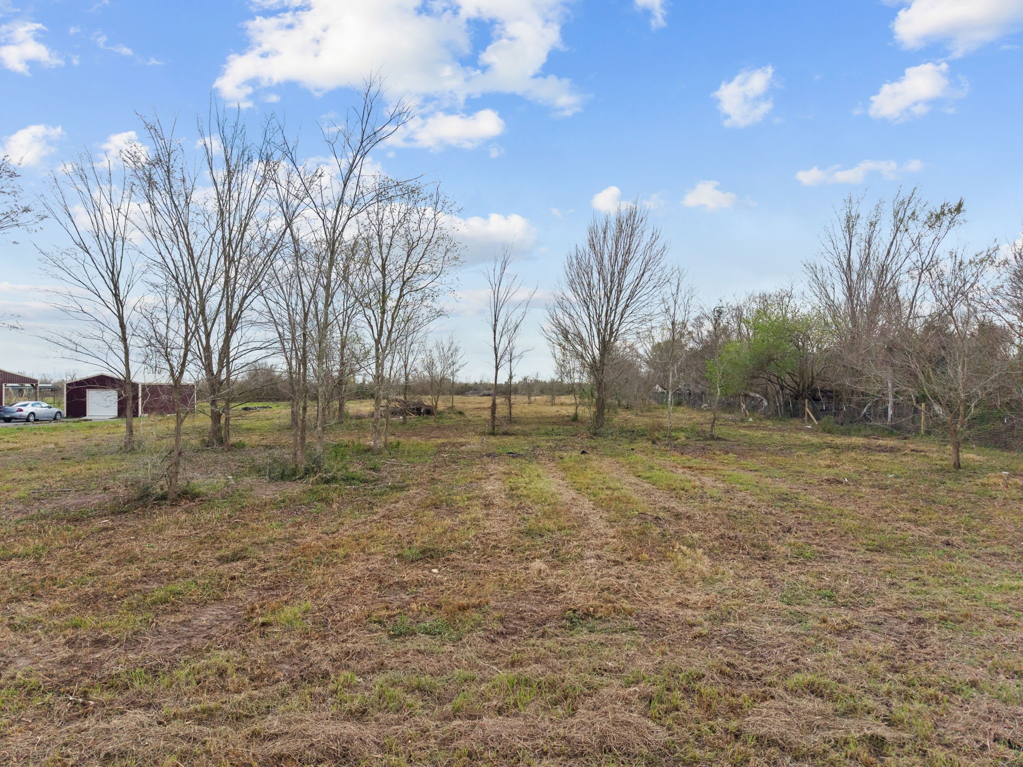 17 County Road 533 Angleton, TX 77515 - Photo 3 of 6 a view of outdoor space with trees