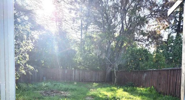 a view of a backyard with plants and wooden fence