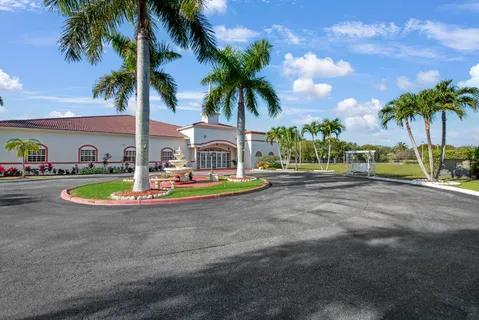 a view of outdoor space with palm trees