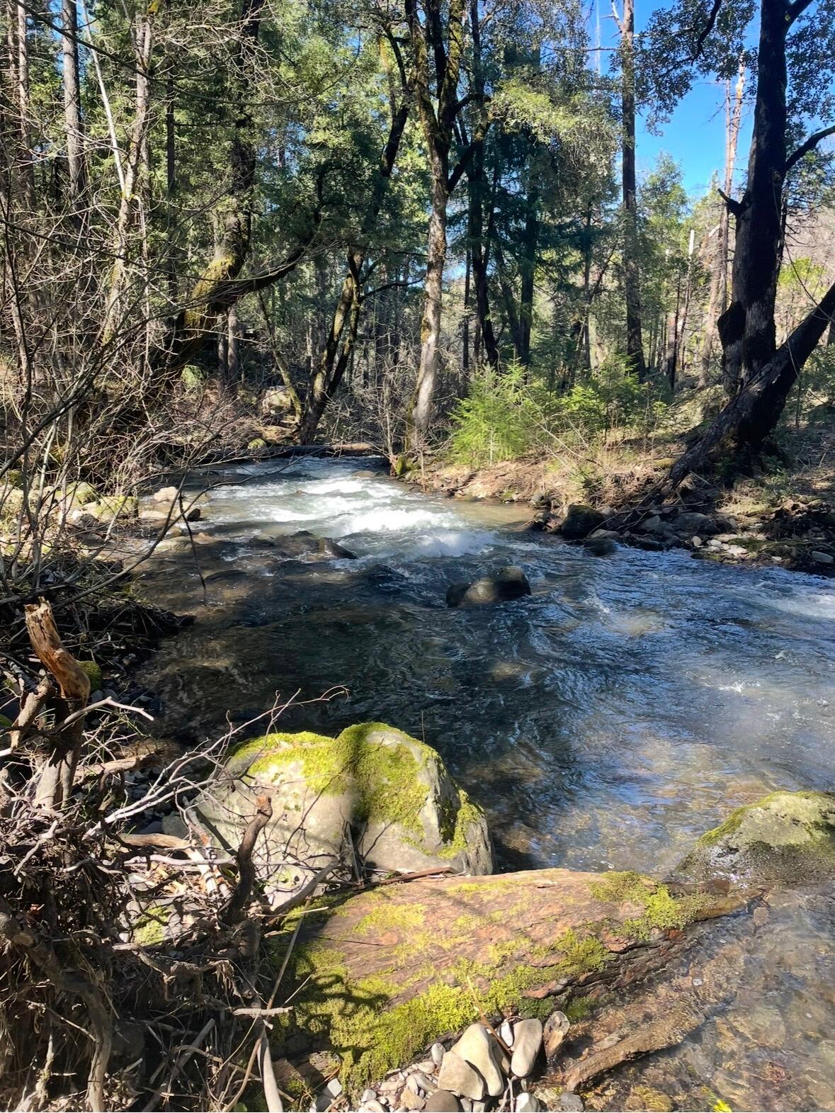 30303 Oak Run To Fern Road Whitmore, CA 96096 - Photo 68 of 75 Creek in Winter