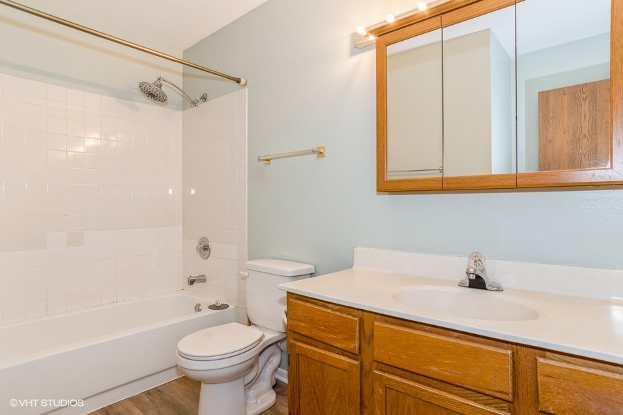 309 North Oltendorf Road Streamwood, IL 60107 - Photo 6 of 11 a bathroom with a sink a toilet and a bathtub