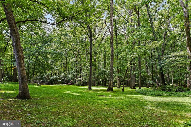 a view of a backyard with a tree