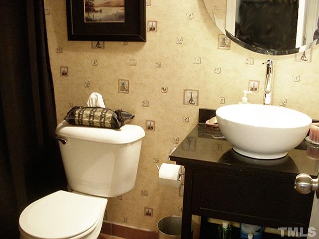 3809 Cathedral Bell Road Raleigh, NC 27614 - Photo 16 of 25 a bathroom with a toilet a sink and a mirror