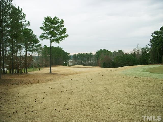 3809 Cathedral Bell Road Raleigh, NC 27614 - Photo 25 of 25 a view of a field with trees