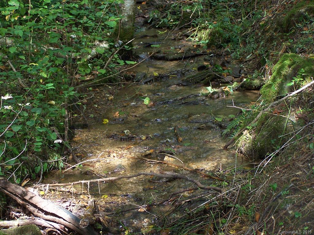 0 Balsam Ridge Road Waynesville, NC 28786 - Photo 22 of 25 a view of a forest